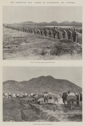 The Transvaal War, Scenes at Naauwpoort and Arundel